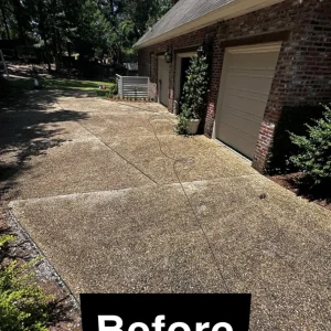 Before Driveway